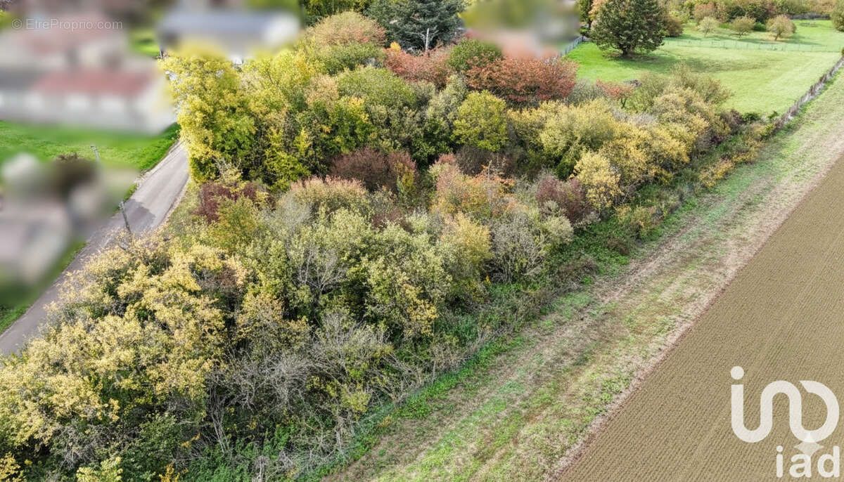 Photo 3 - Terrain à AVANT-LES-MARCILLY