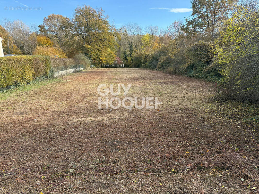 Terrain à SOIGNOLLES-EN-BRIE