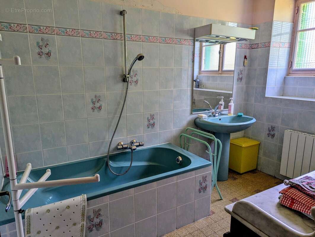 salle de bains - Maison à MAILLY-LA-VILLE