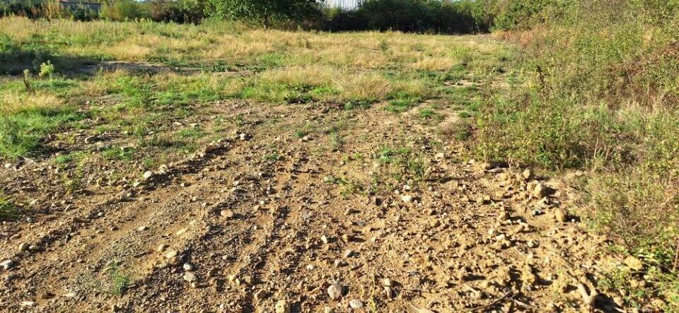 Terrain à SAINT-LYS