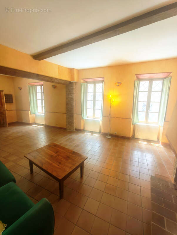 A 20 min de Mirepoix, Grande Maison de caractère, cour, véranda, dans un village de charme avec toute commodités - photo 13