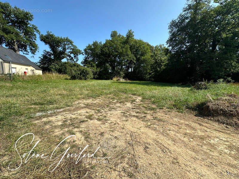 Terrain Rieux, à 3 min de Redon - photo 2