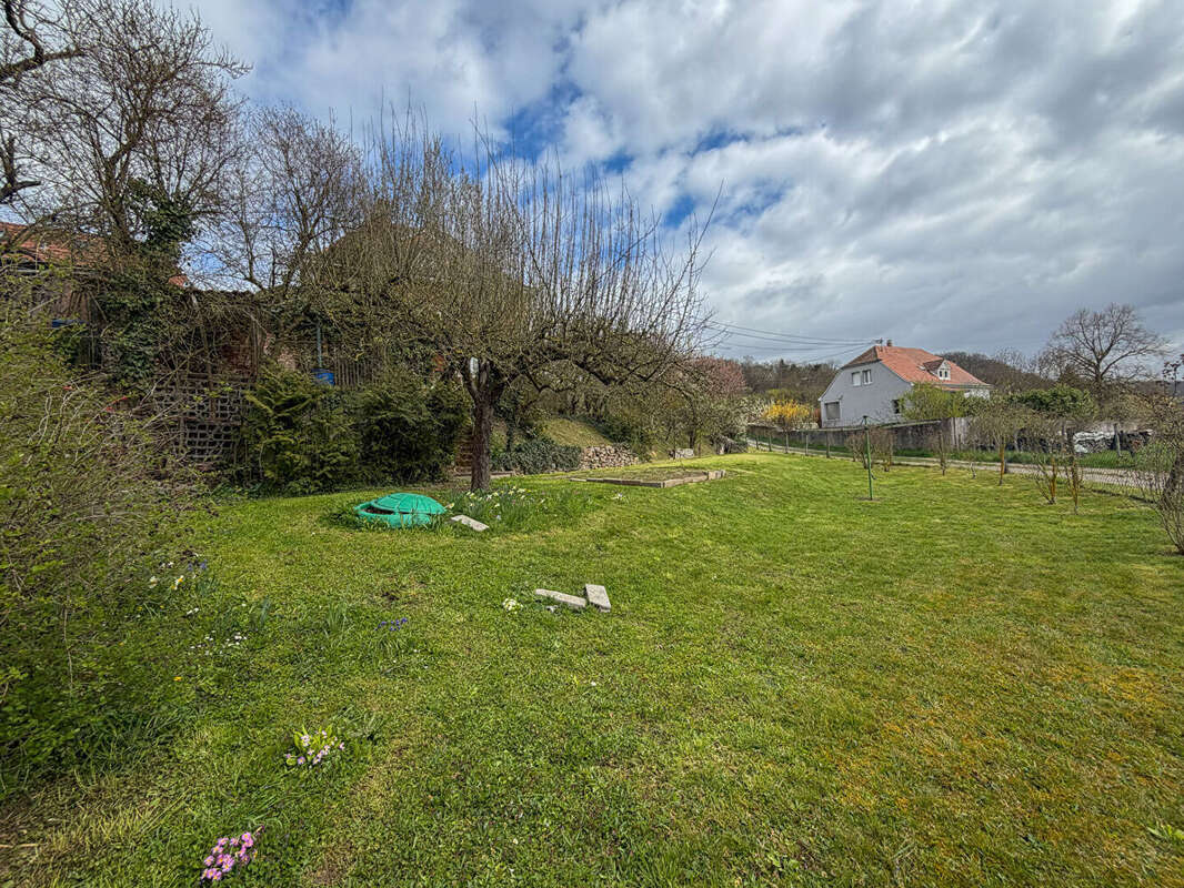 Maison à WASSELONNE