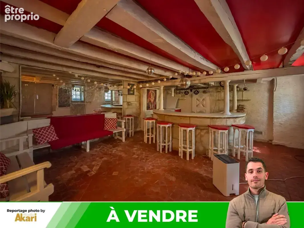 Maison 15 pièces 583 m² à vendre à Thure (86540) - photo 16