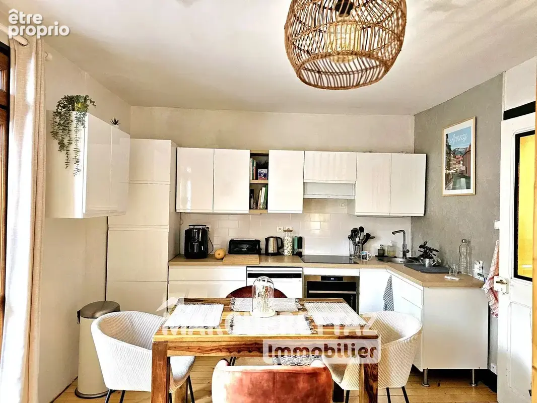 Lot de 2 appartements t2+t3 avec caves et grande terrasse - photo 1