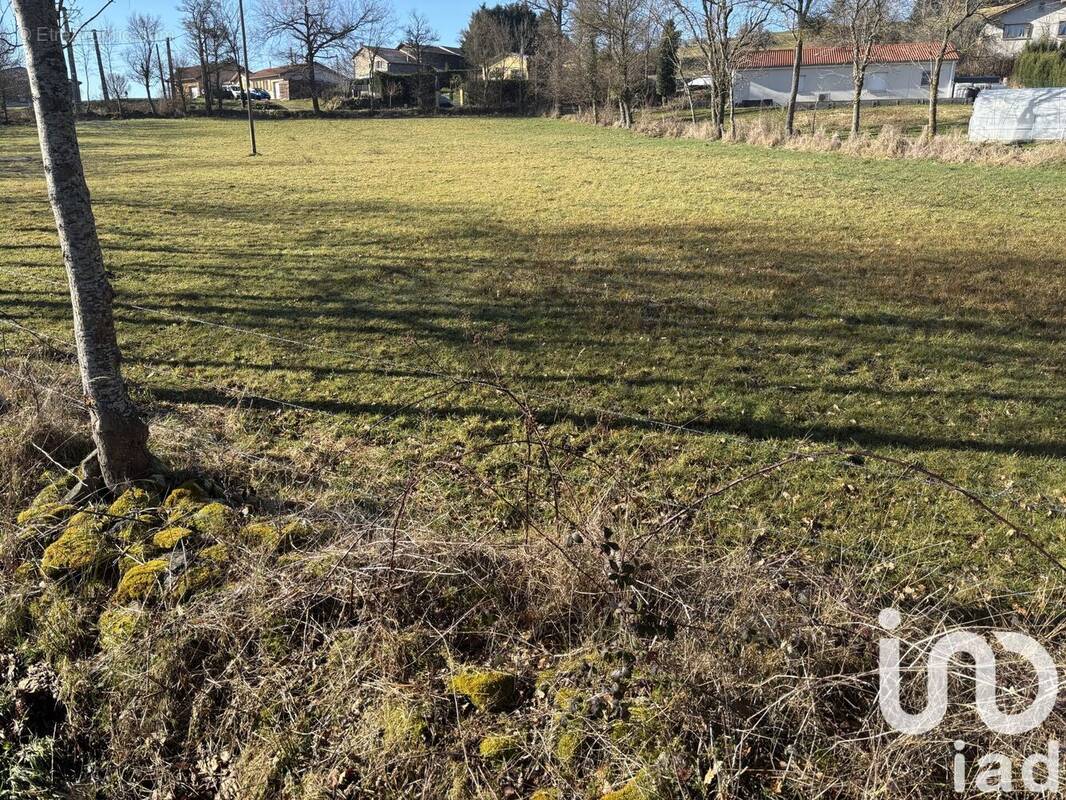 Photo 1 - Terrain à RETOURNAC