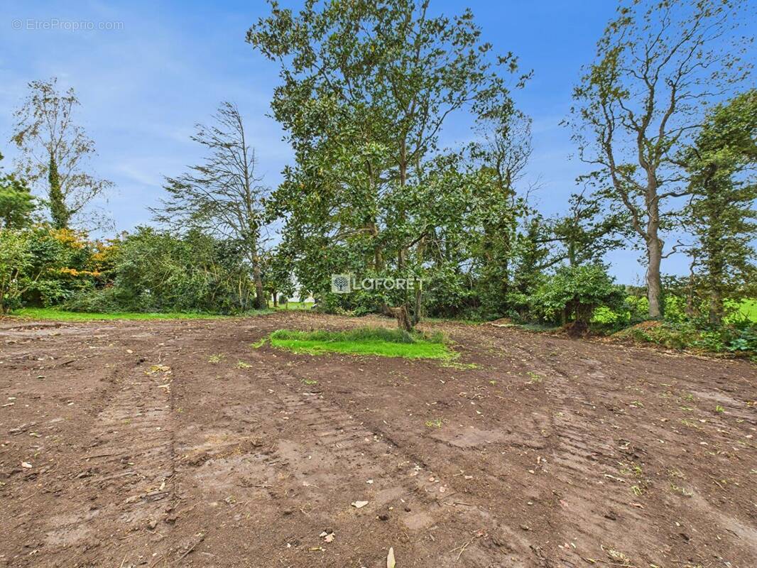 Terrain à PLOMELIN