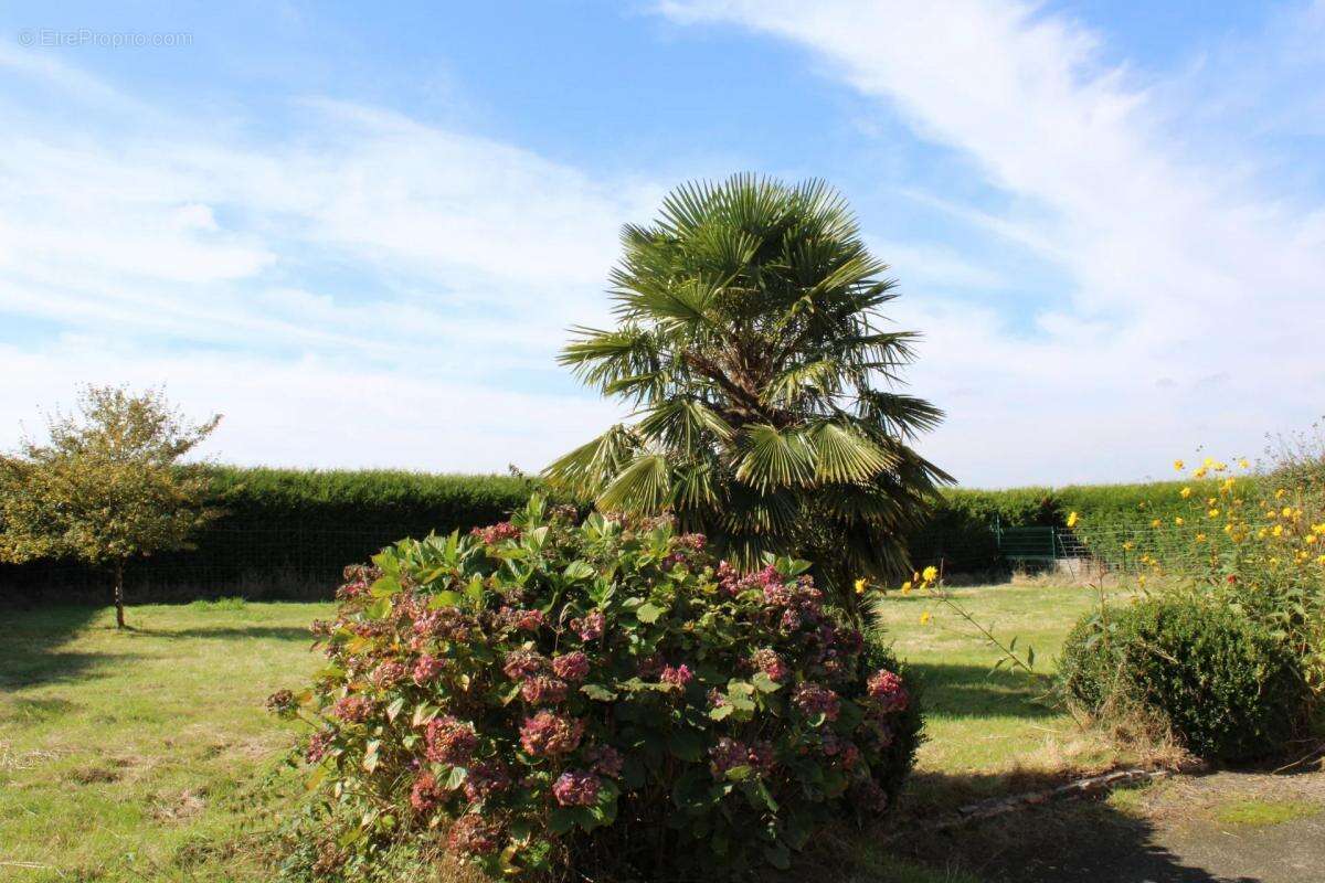Maison à SAINT-BARNABE