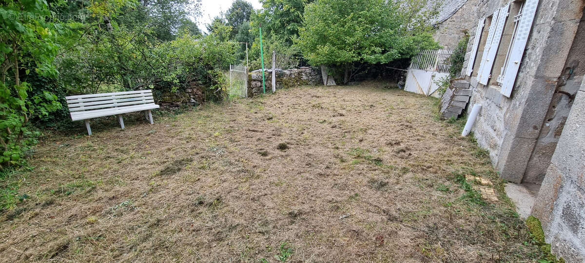 Nouveauté ! - photo 10