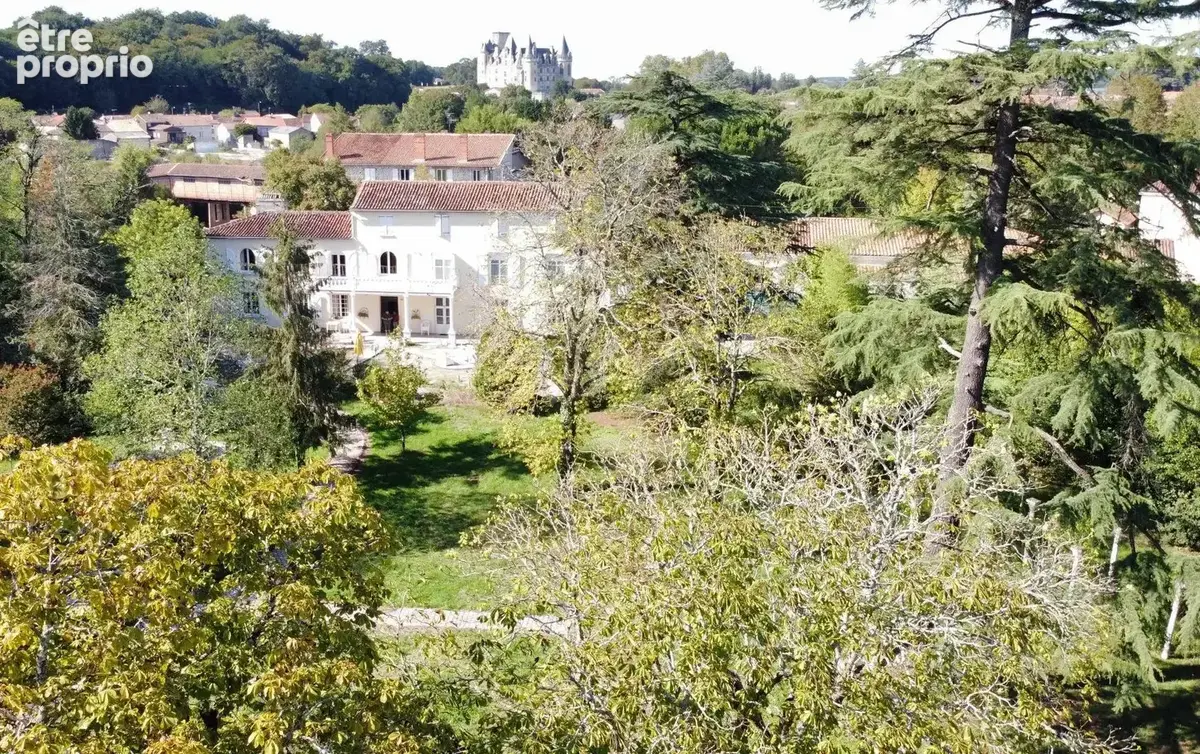 Maison 16 pièces 515 m² à vendre à La Rochefoucauld (16110) - photo 4