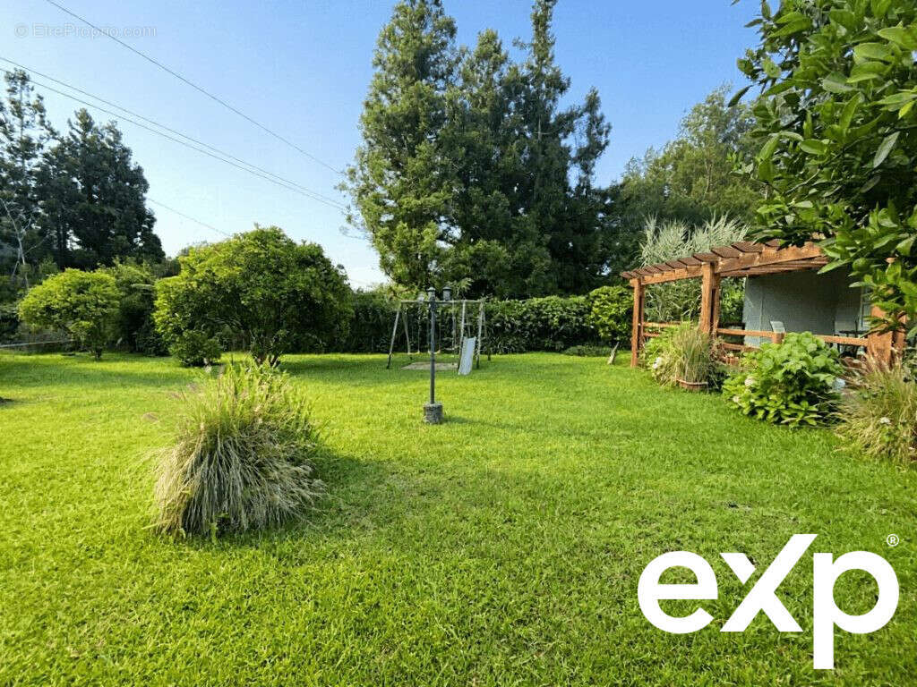 Maison à LA PLAINE-DES-PALMISTES