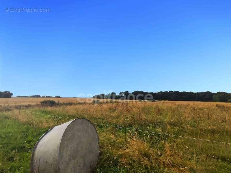 Maison à SAINT-GERMAIN-DU-PLAIN