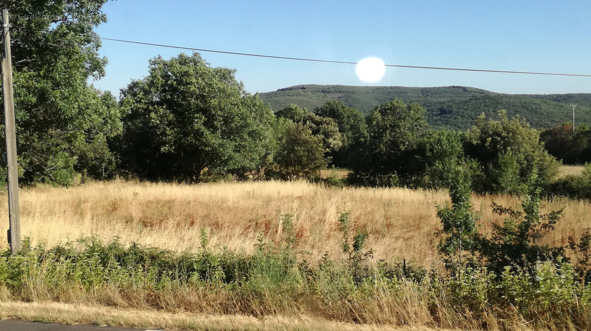 Terrain à VALMASCLE