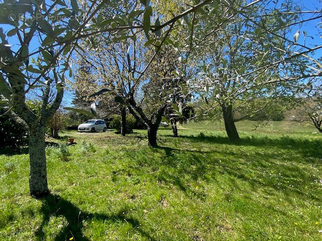 Maison à SAINT-FELIX-DE-PALLIERES