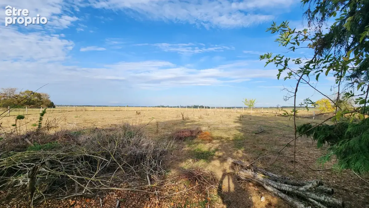 Longere  3 chambres sur grand terrain de 3400 m² - photo 6