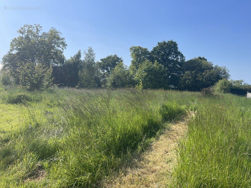 Terrain à VILLERS-SUR-MER