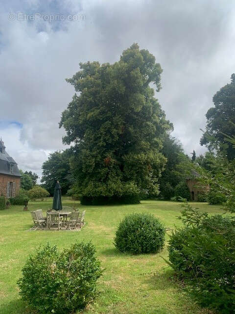 Maison à ROMESCAMPS