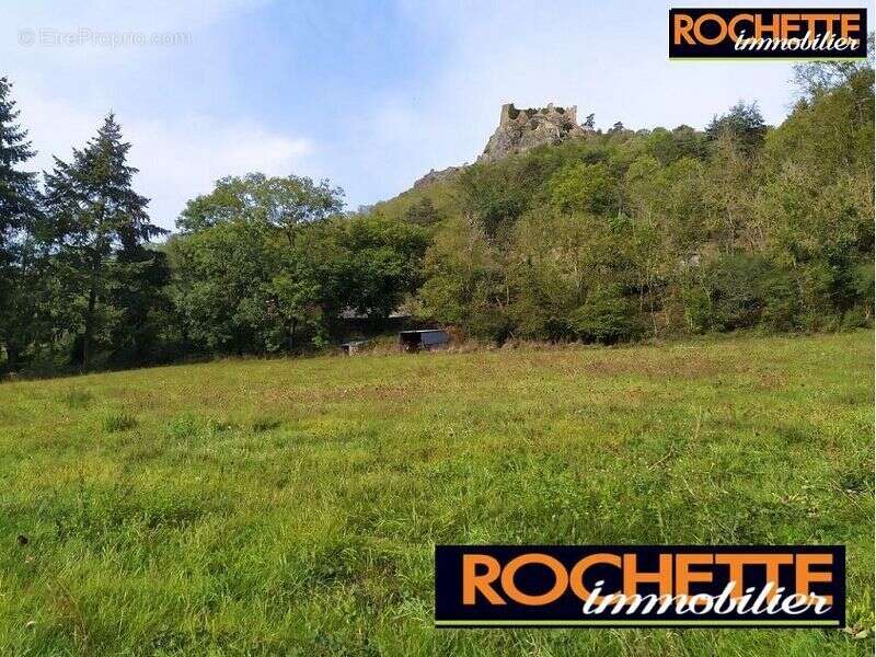 Terrain à SAIL-SOUS-COUZAN