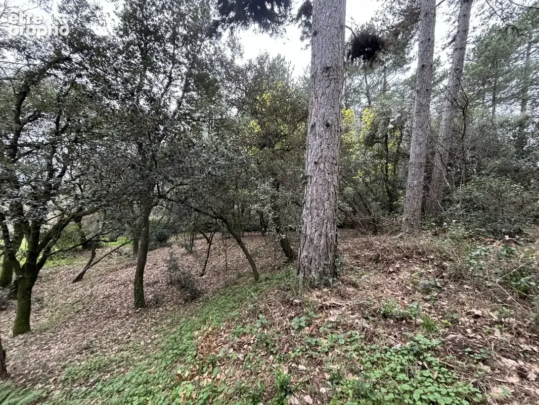 Terrain 1 292 m² à vendre à Ucel (07200) - photo 7