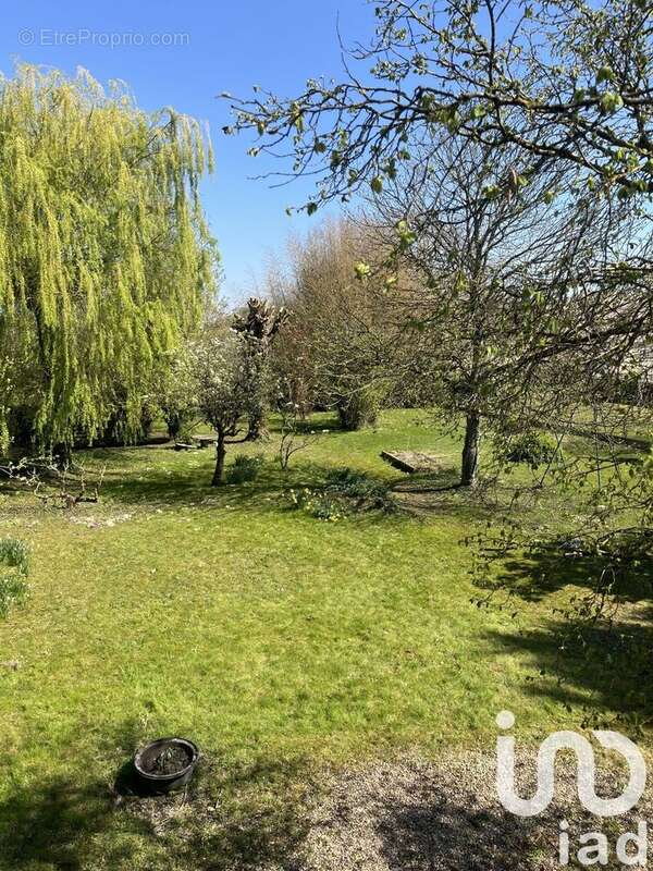 Photo 4 - Maison à NEMOURS