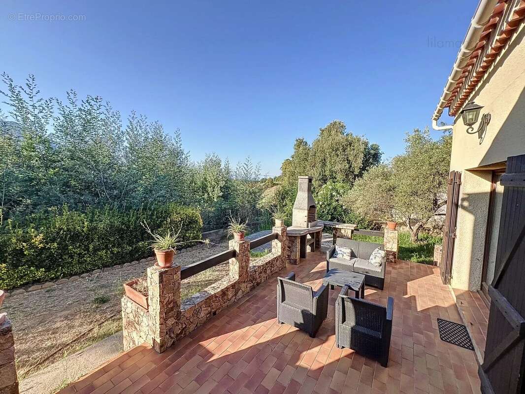 Corse du sud - Ajaccio - Sarrola-Carcopino - Maison - Grand terrain - photo 6