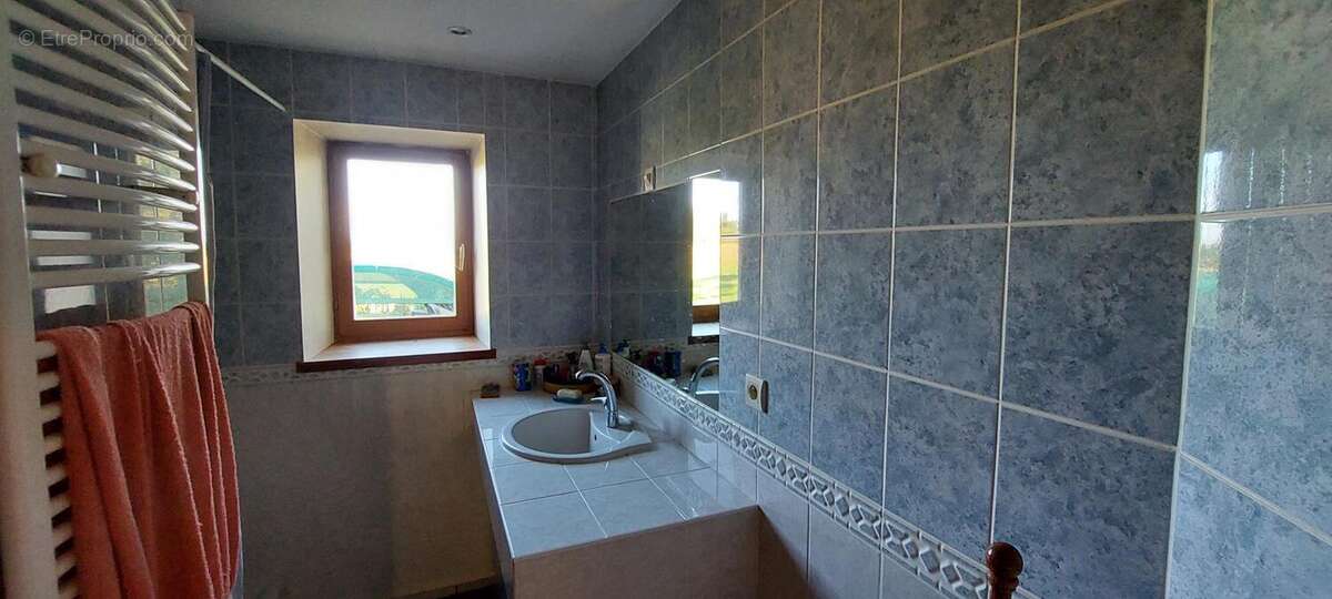 Maison à REVEL-TOURDAN