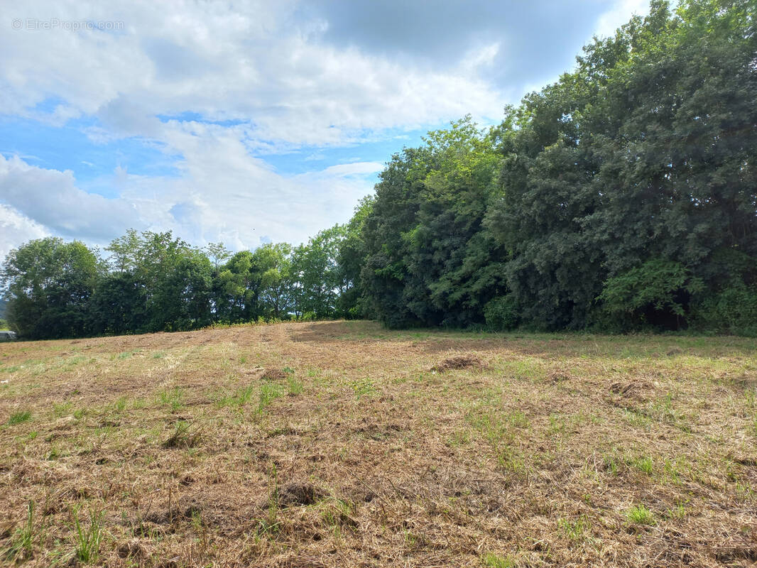 Terrain à CASTELNAU-MAGNOAC