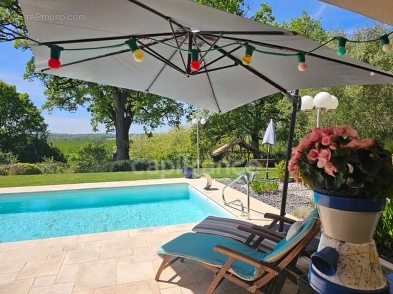 Villa de plain pied - 4 chambres - piscine - terrain de pétanque - garage - cadre naturel privilégié - photo 5