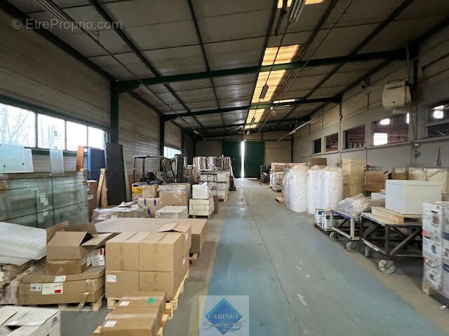 LOCAUX PRO de 5000m2 sur parcelle de 9000m2 - photo 16