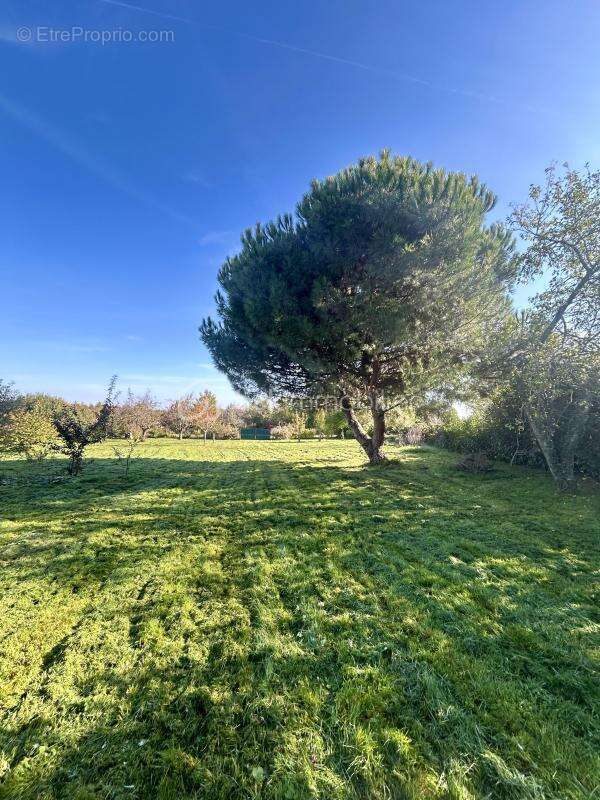 Maison à SAINT-CYR-LES-COLONS