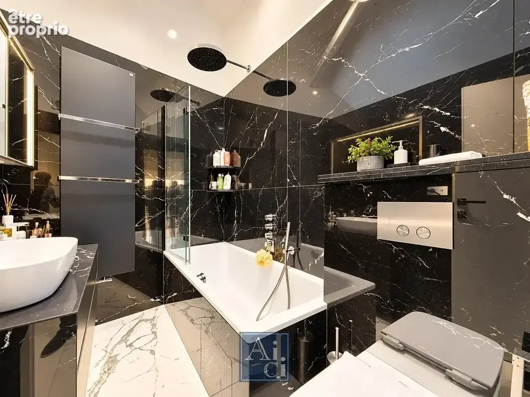 Cannes banane – carré d’or  villa sur le toit - photo 5