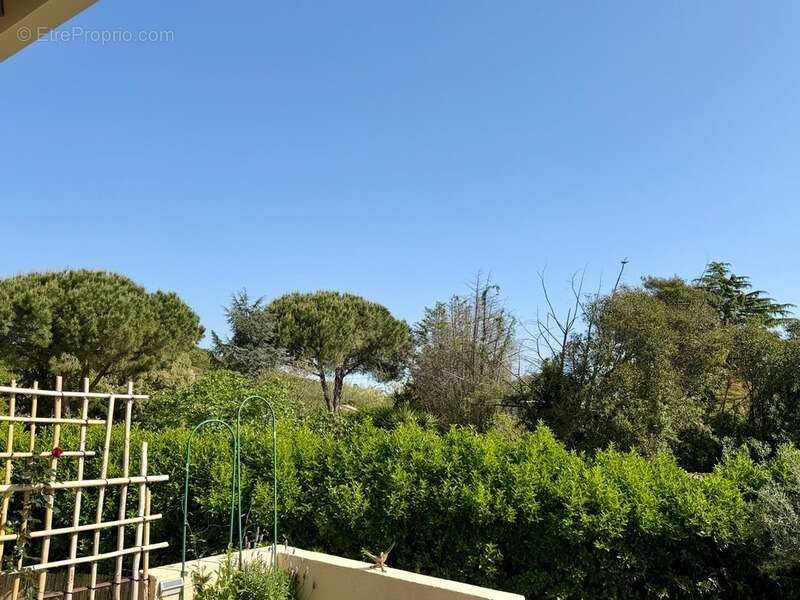 Appartement à SANTA-LUCIA-DI-MORIANI