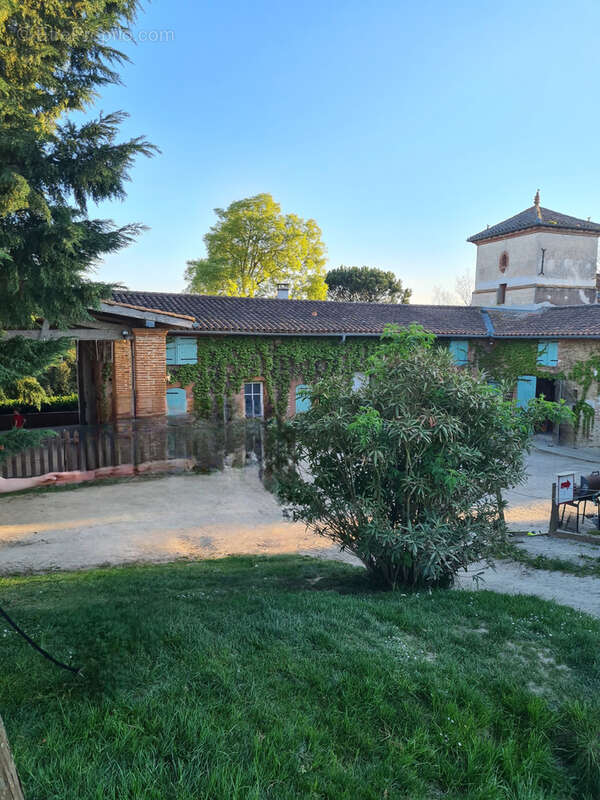 CINTEGABELLE- Fonds de commerce pension de chevaux et poney club - photo 11
