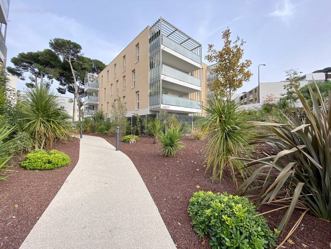Appartement à SETE