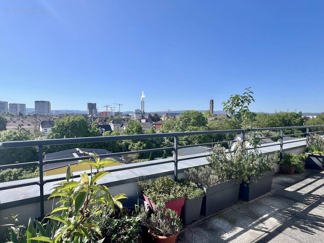 Appartement à SAINT-LOUIS