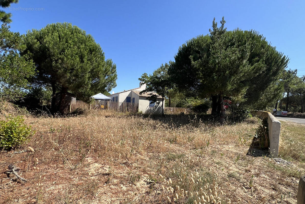Terrain à SAINT-HILAIRE-DE-RIEZ