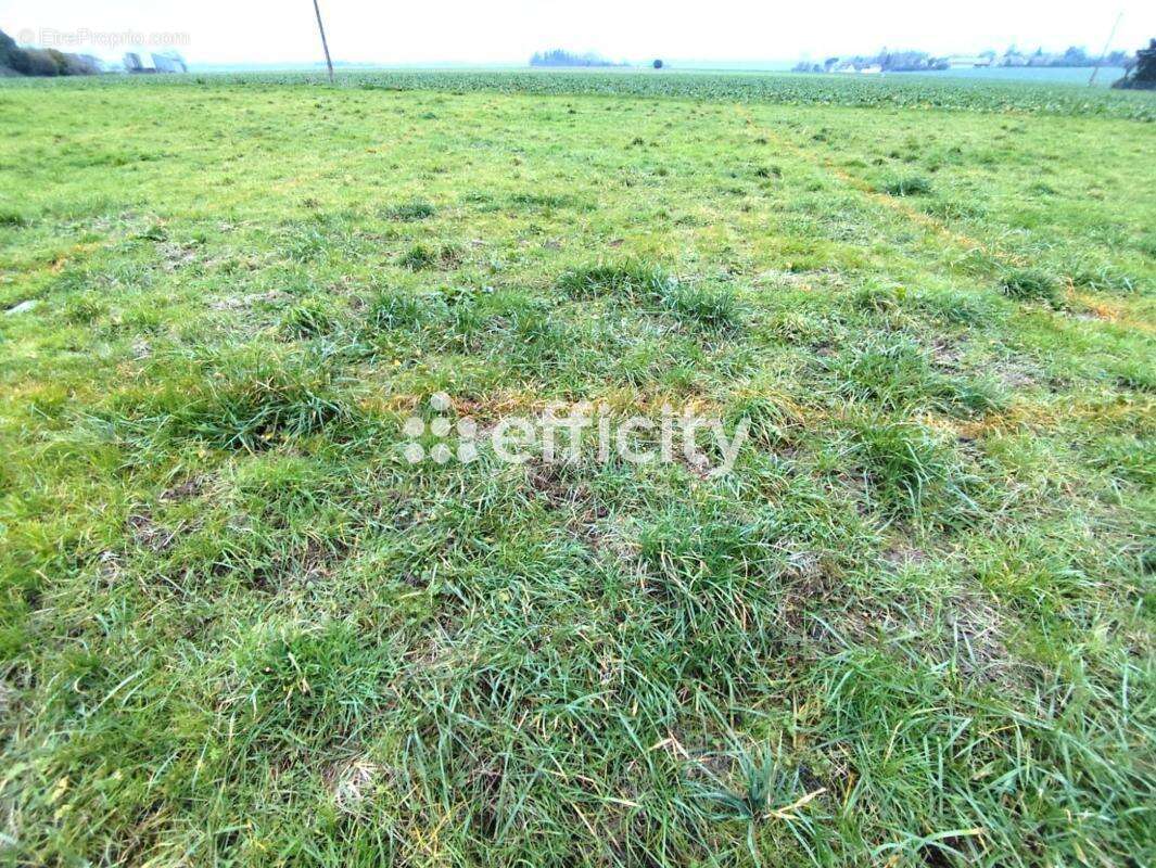 Commerce à TREMBLAY-LES-VILLAGES