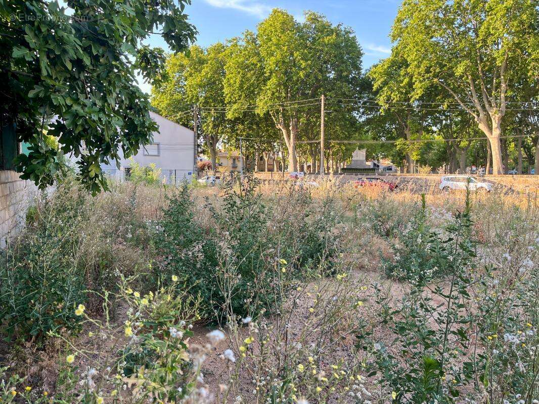 Vente terrain constructible à Marseillan d'environ 350m², non viabilisée - photo 4