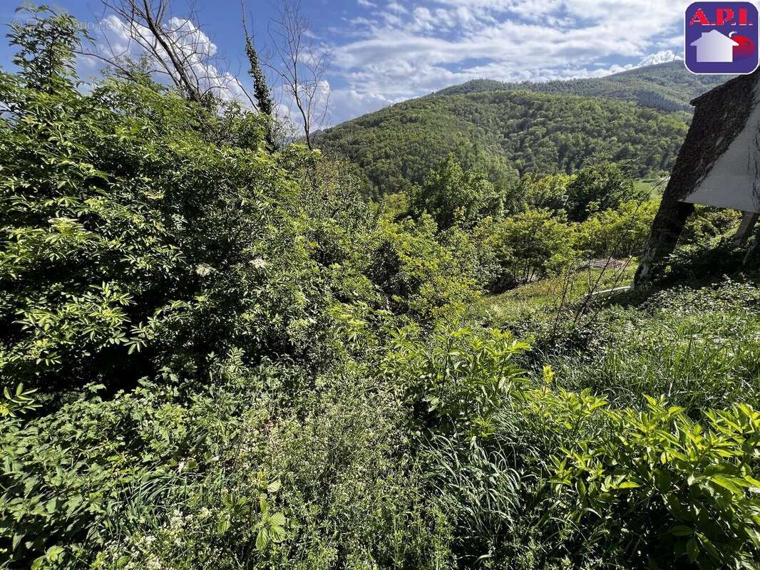 Terrain à FOIX