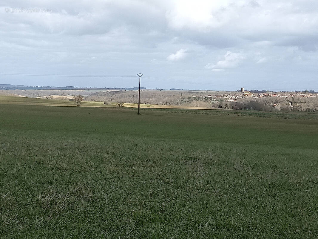 Terrain à MONFORT