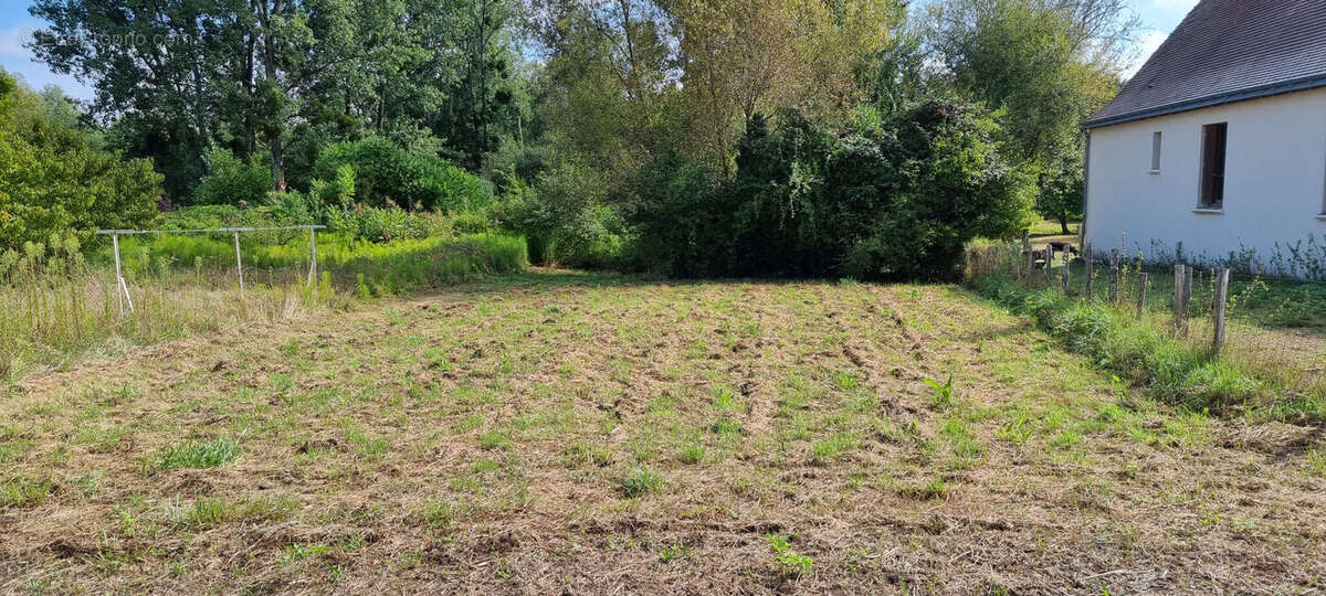 Photo 3 - Terrain à LANGEAIS