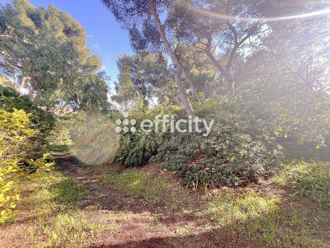 Maison à MARSEILLE-9E