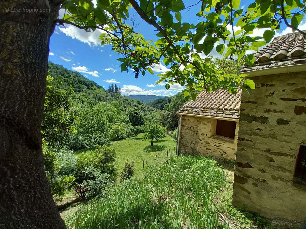 Maison à SAINT-VINCENT-D'OLARGUES