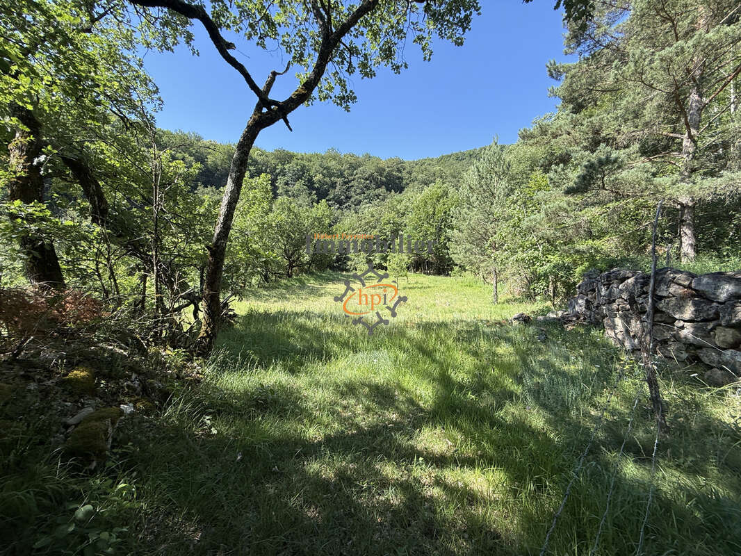 Vente Mazet Versols et Lapeyre, 1,25 hectares de terrains - photo 12