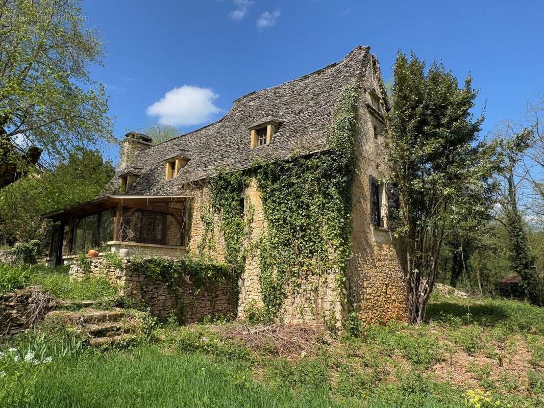 IMG2136 - Maison à BEYNAC-ET-CAZENAC