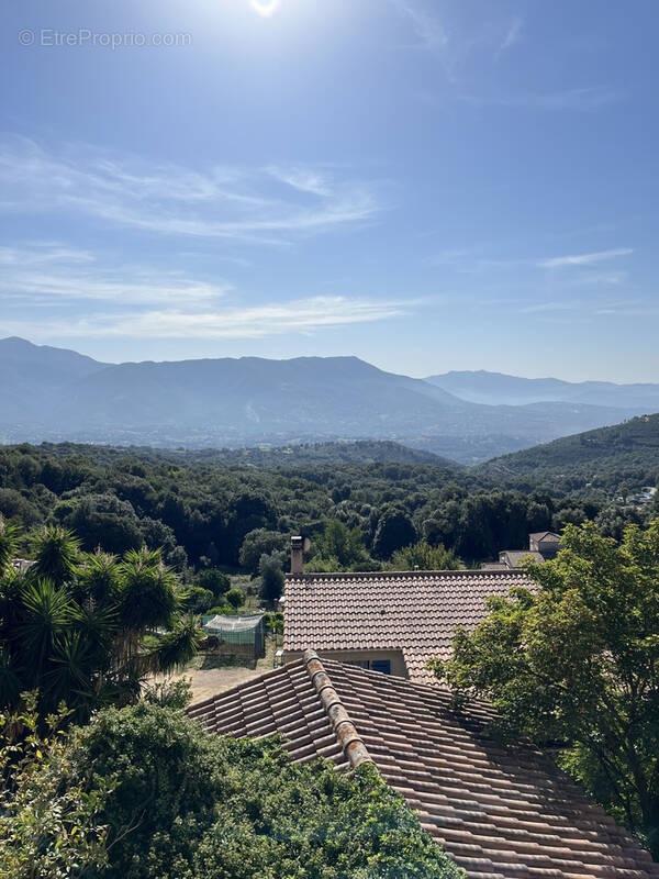 Maison à VALLE-DI-MEZZANA