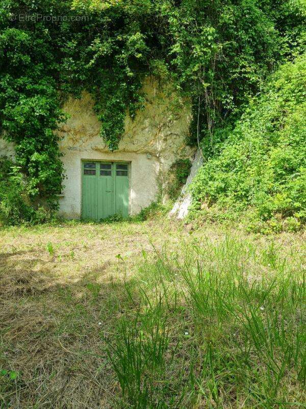 Maison troglodytique  avec caves et terrains - photo 13