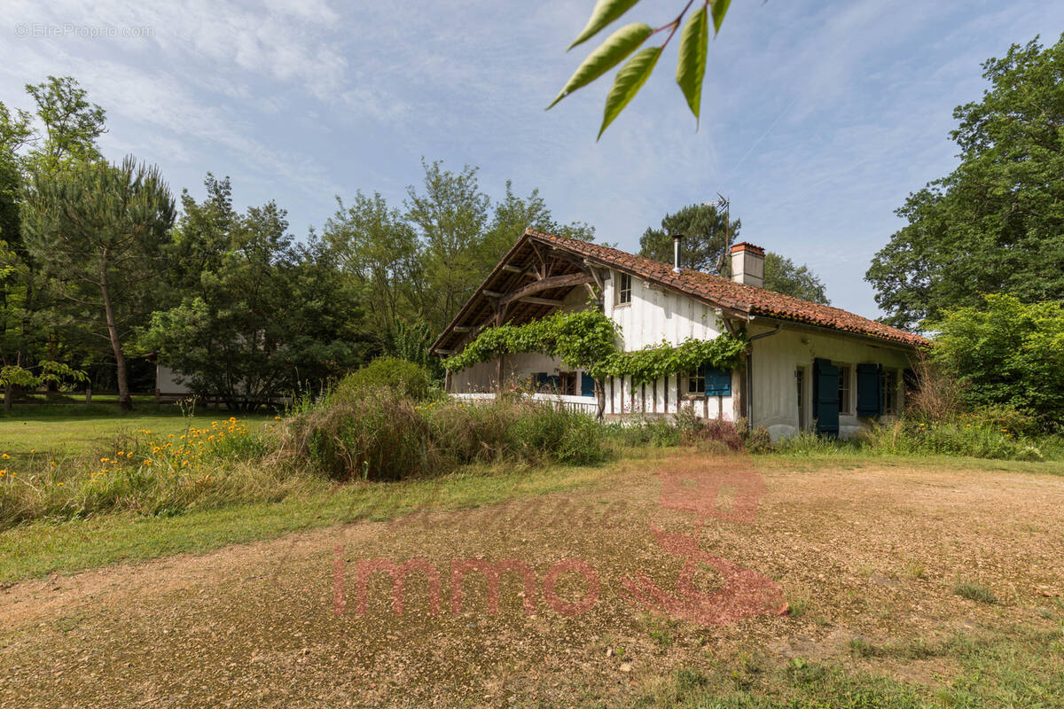 Maison à LE SEN