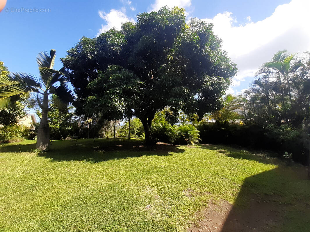 Terrain à SAINT-PAUL