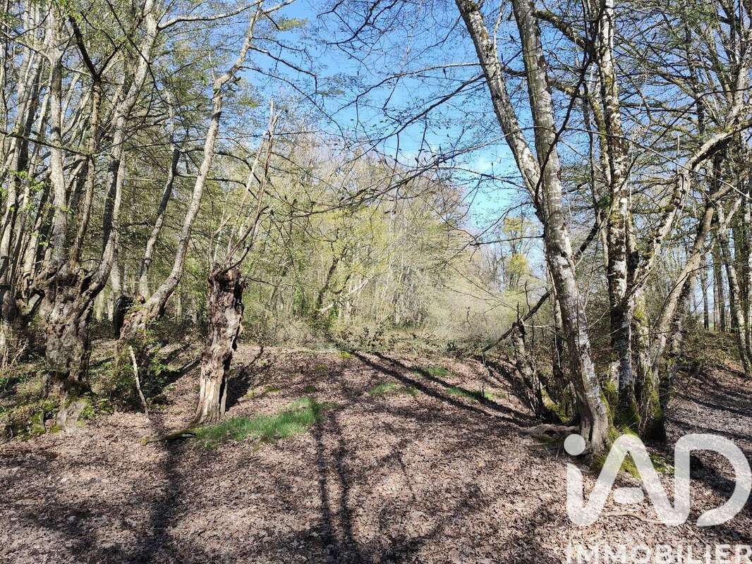 Photo 7 - Terrain à CHAMBEUGLE